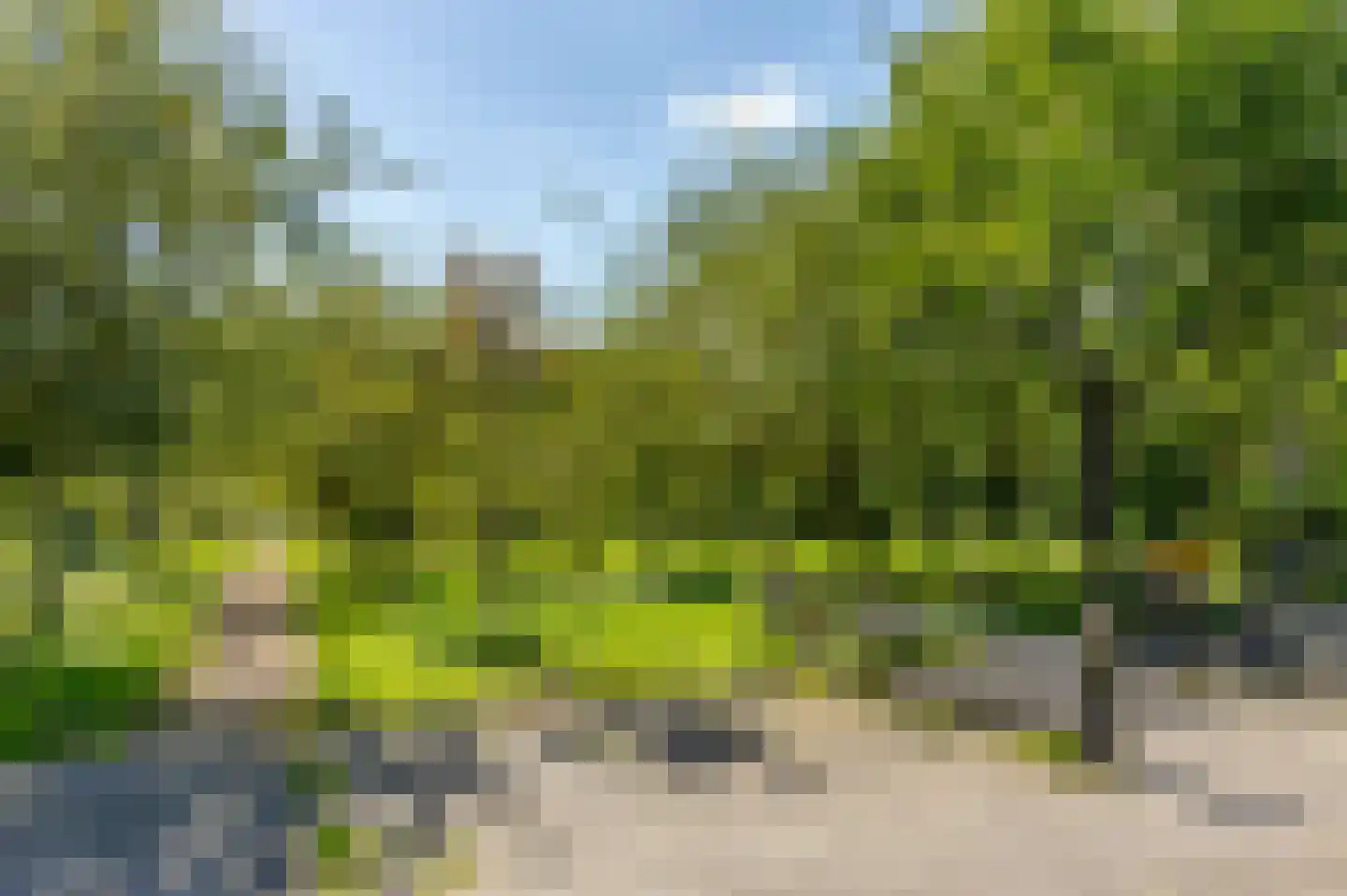 Dorlandsweer 84 Sliedrecht thumbnail 26