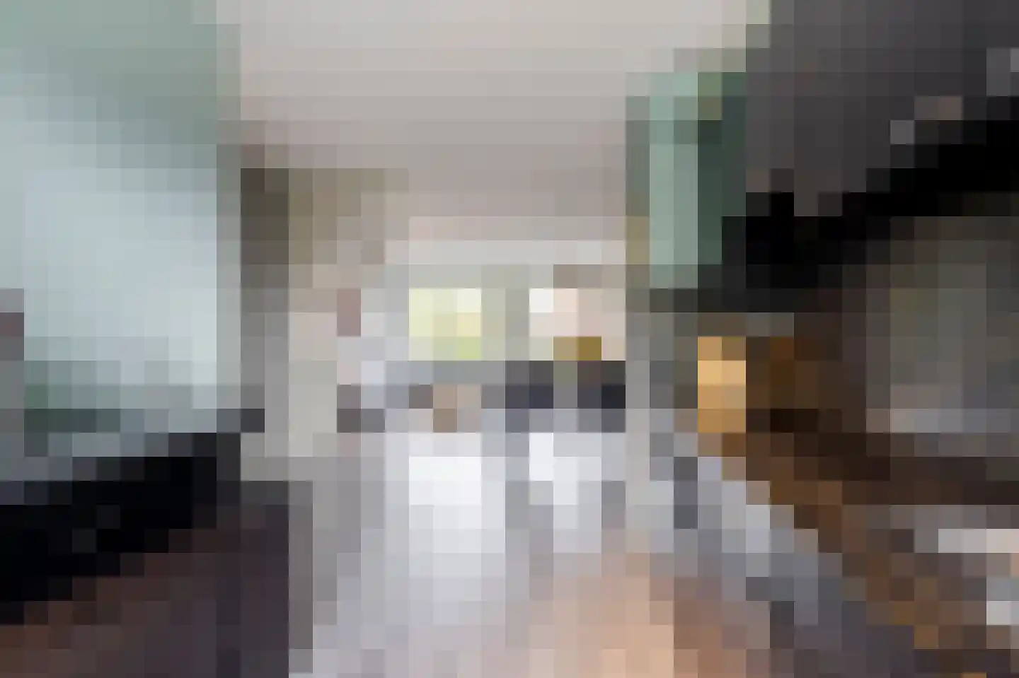 Dorlandsweer 84 Sliedrecht thumbnail 8