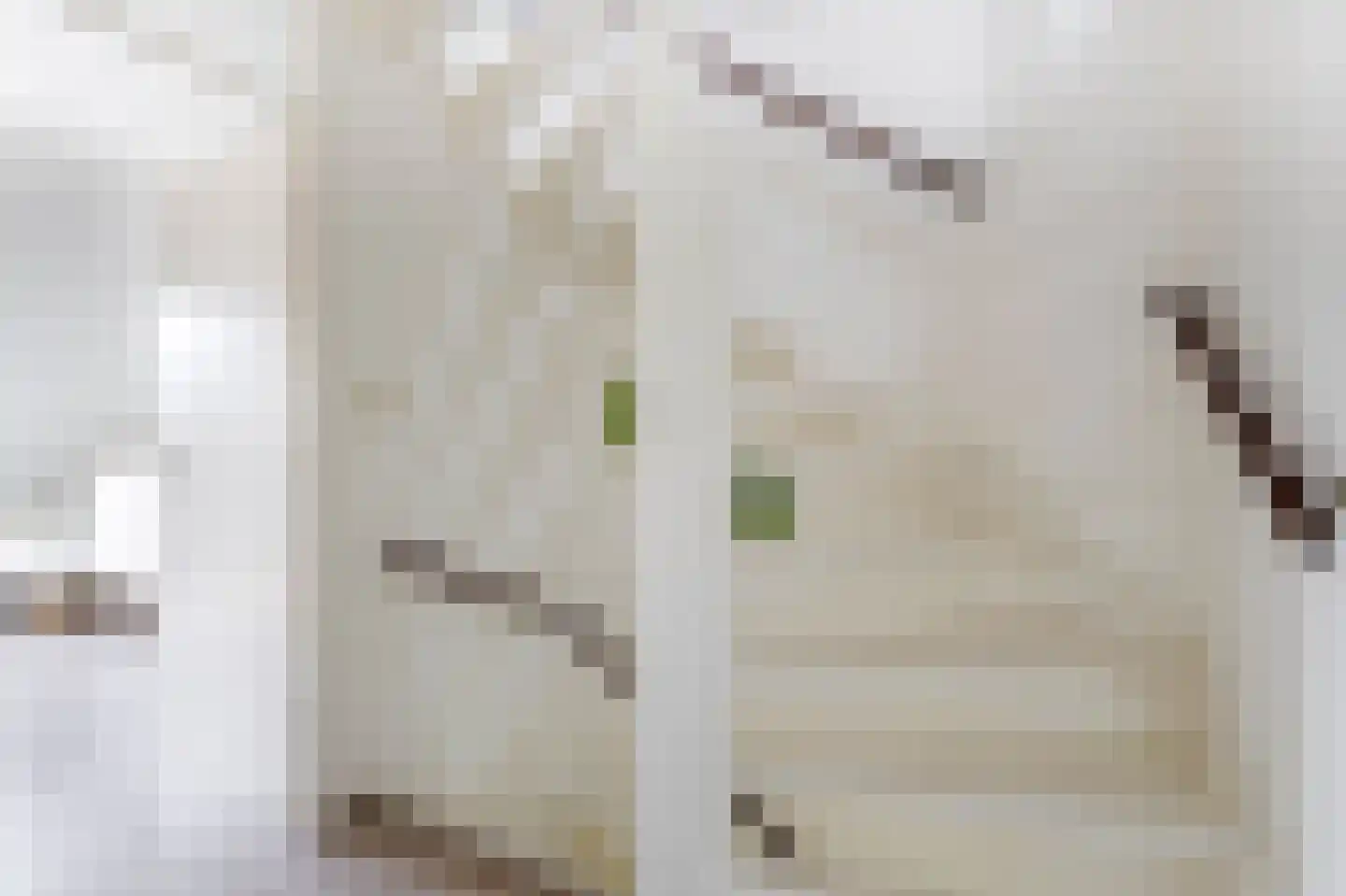 Dorlandsweer 97 Sliedrecht thumbnail 10