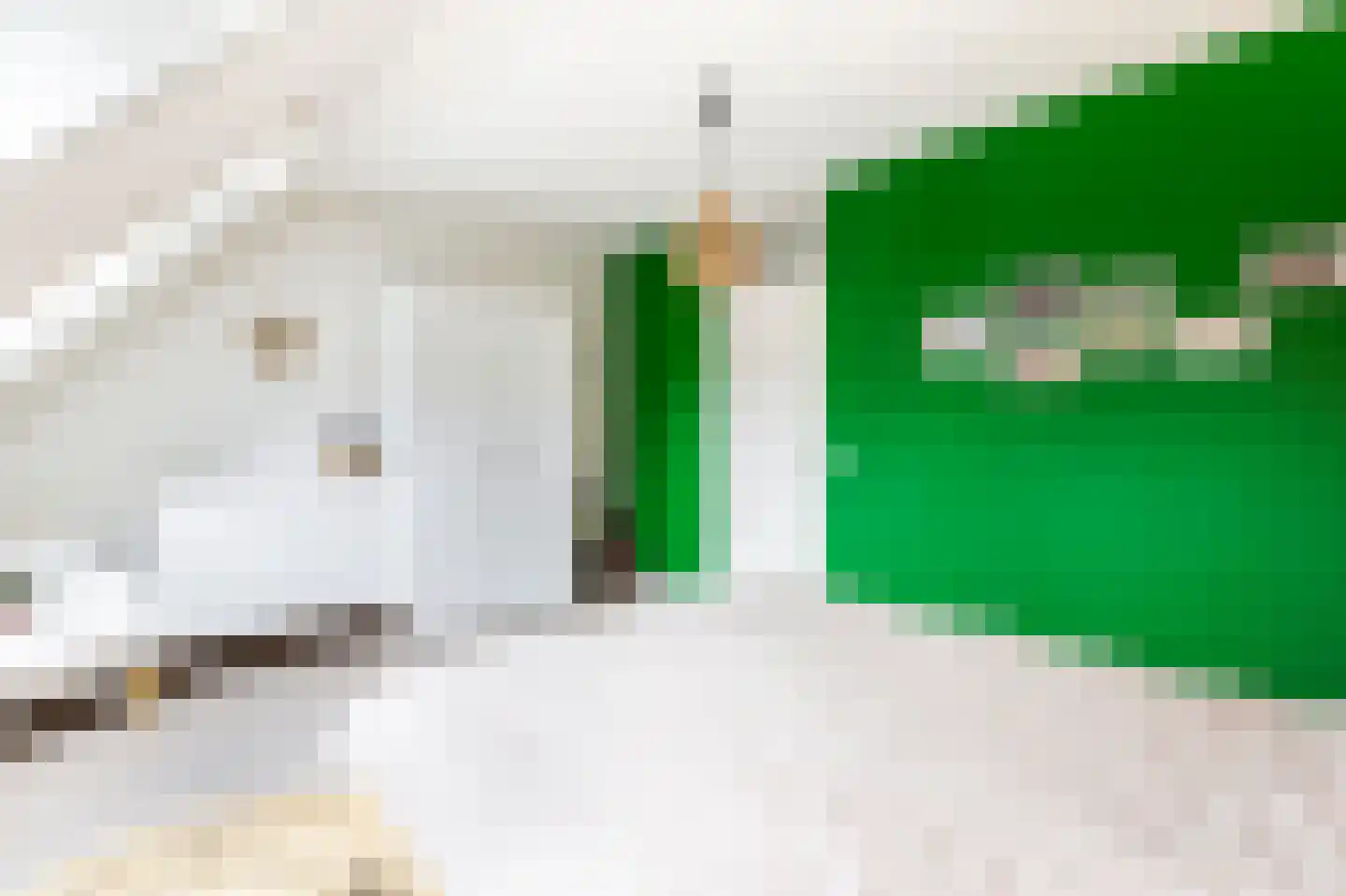 Dorlandsweer 97 Sliedrecht thumbnail 12