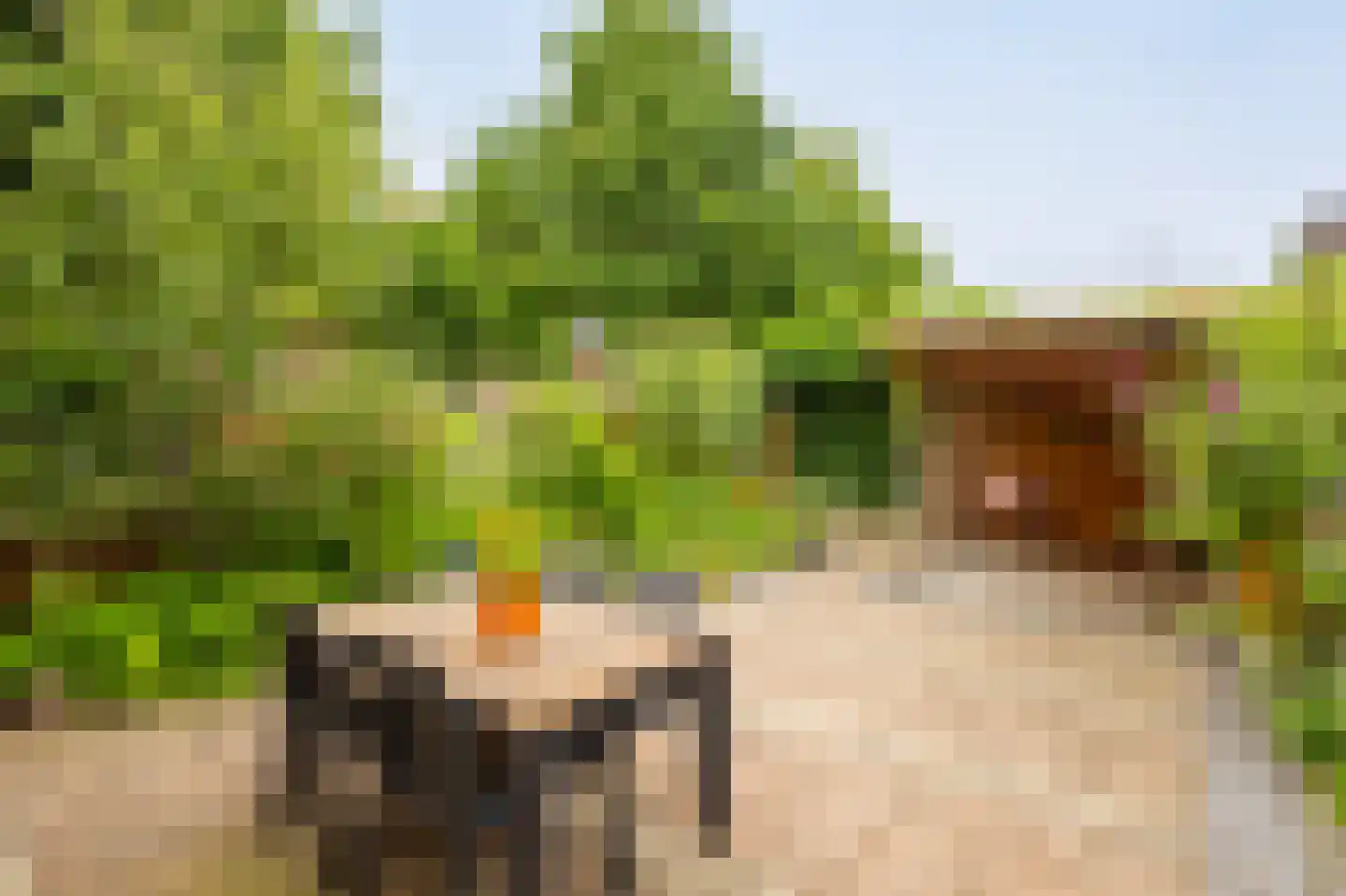 Dorlandsweer 97 Sliedrecht thumbnail 20