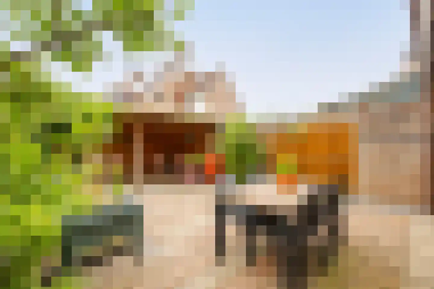 Dorlandsweer 97 Sliedrecht thumbnail 21