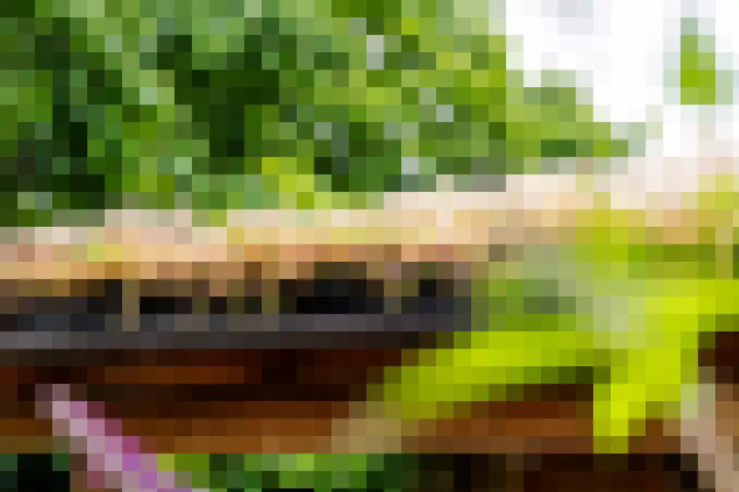 Dorlandsweer 97 Sliedrecht thumbnail 22