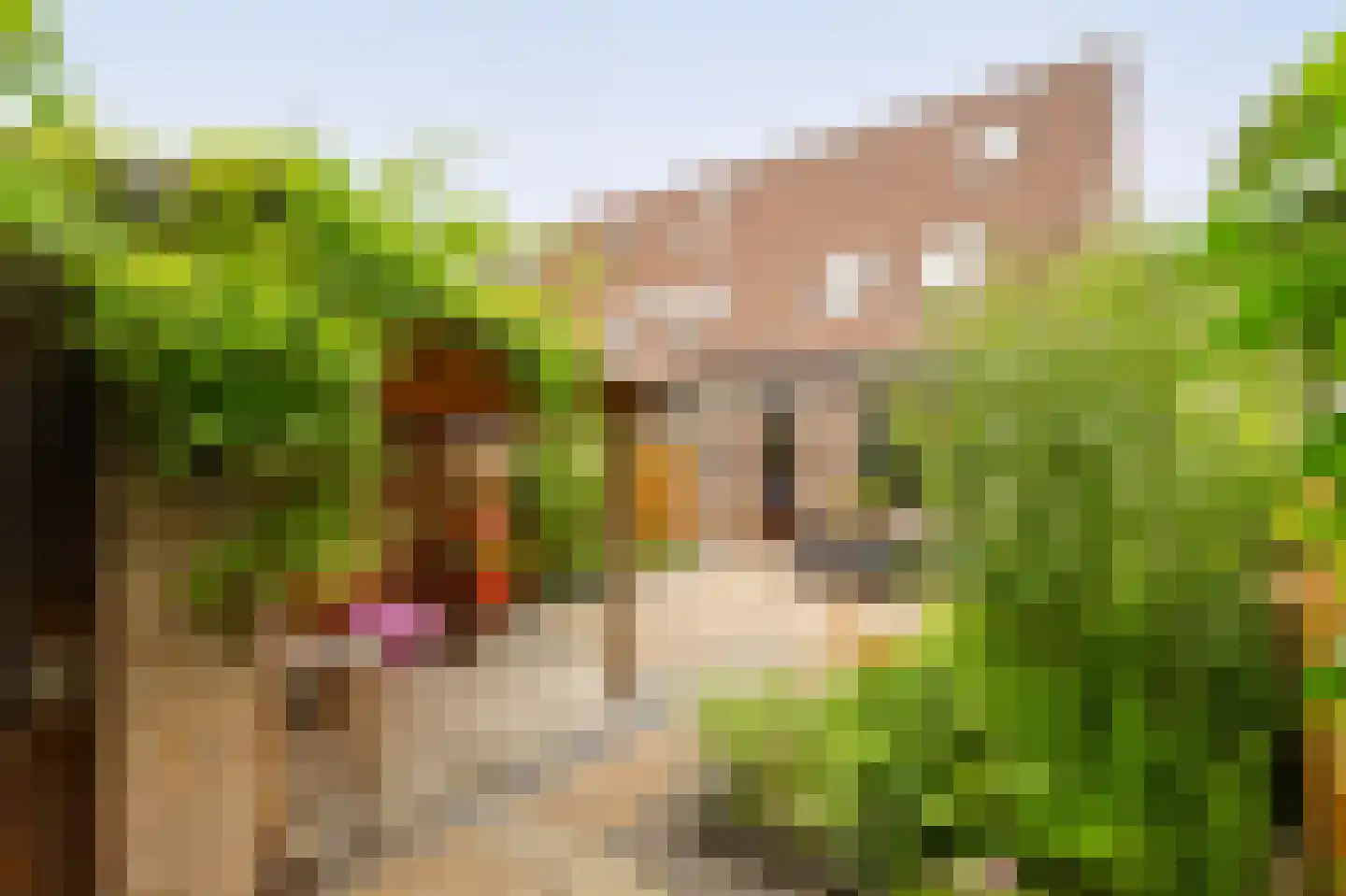Dorlandsweer 97 Sliedrecht thumbnail 24
