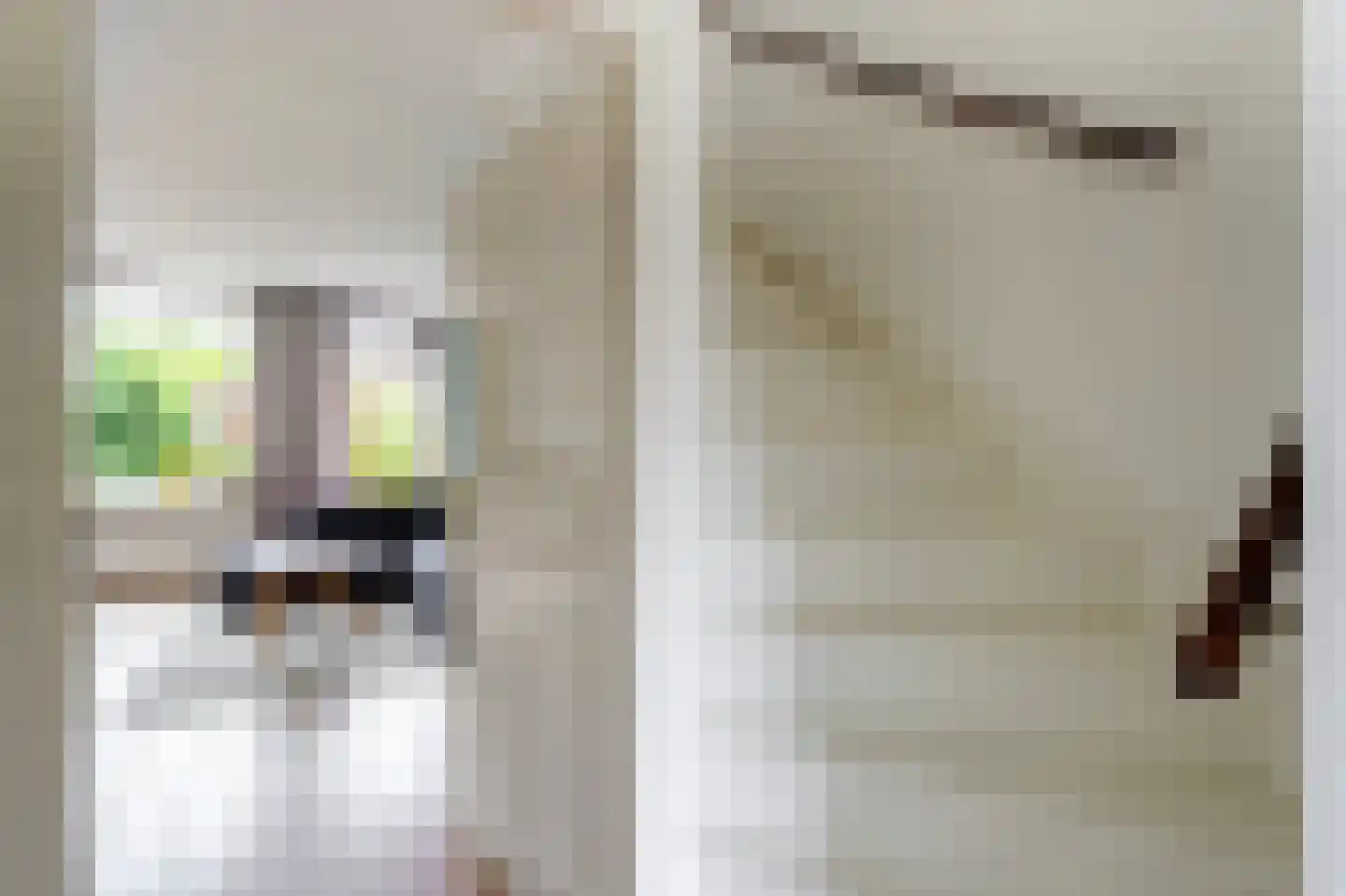 Dorlandsweer 97 Sliedrecht thumbnail 8