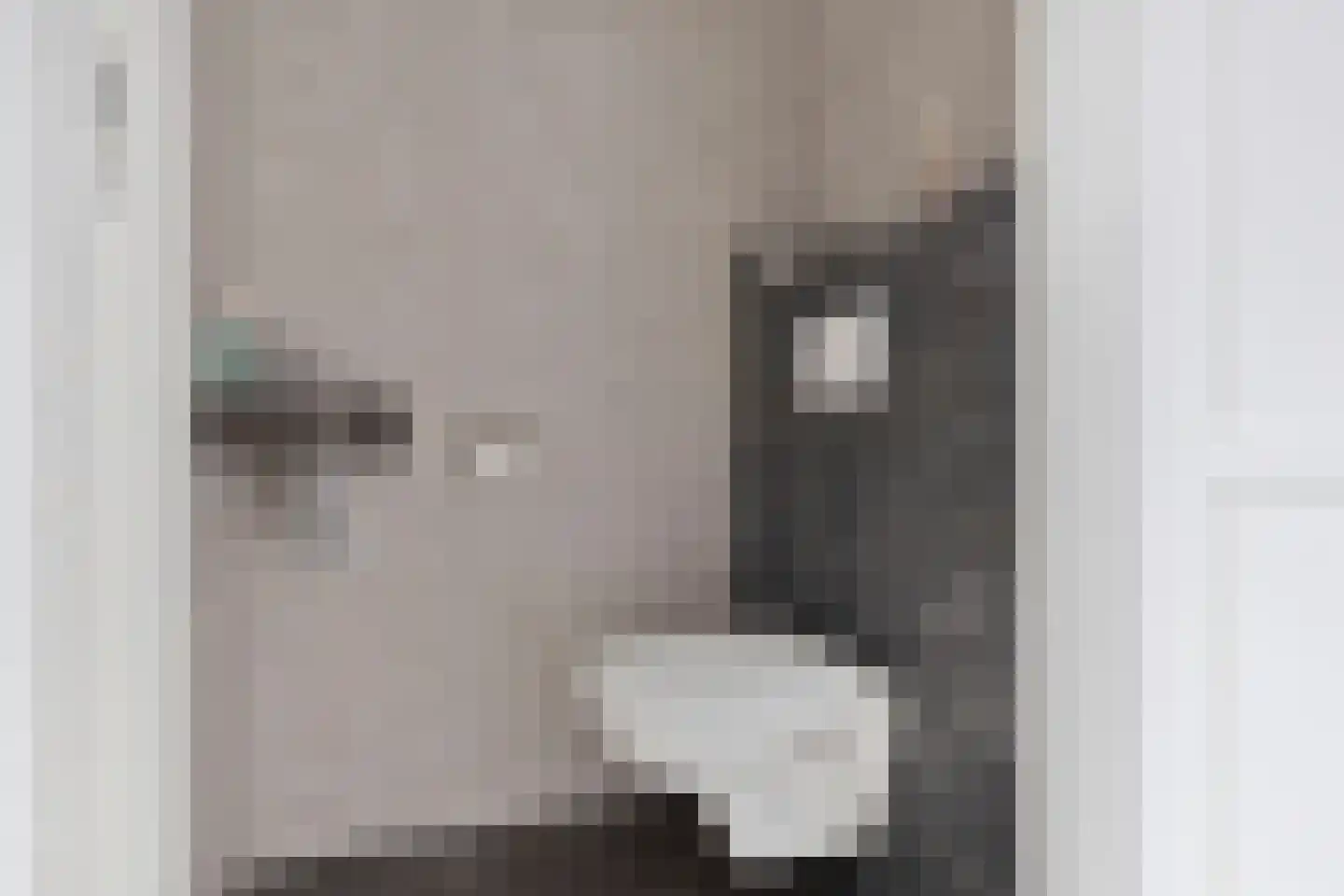 Dormansgoed 8 Maasbree thumbnail 7