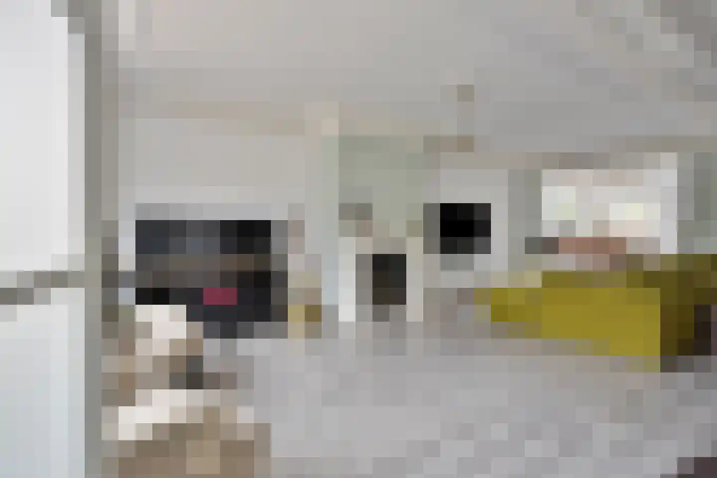 Dormigstraat 15 Landgraaf thumbnail 7
