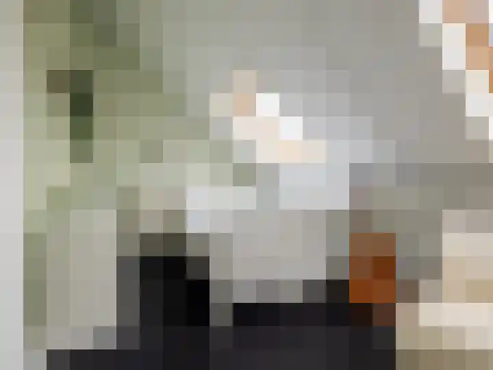Dornachstraat 25 Zutphen thumbnail 25