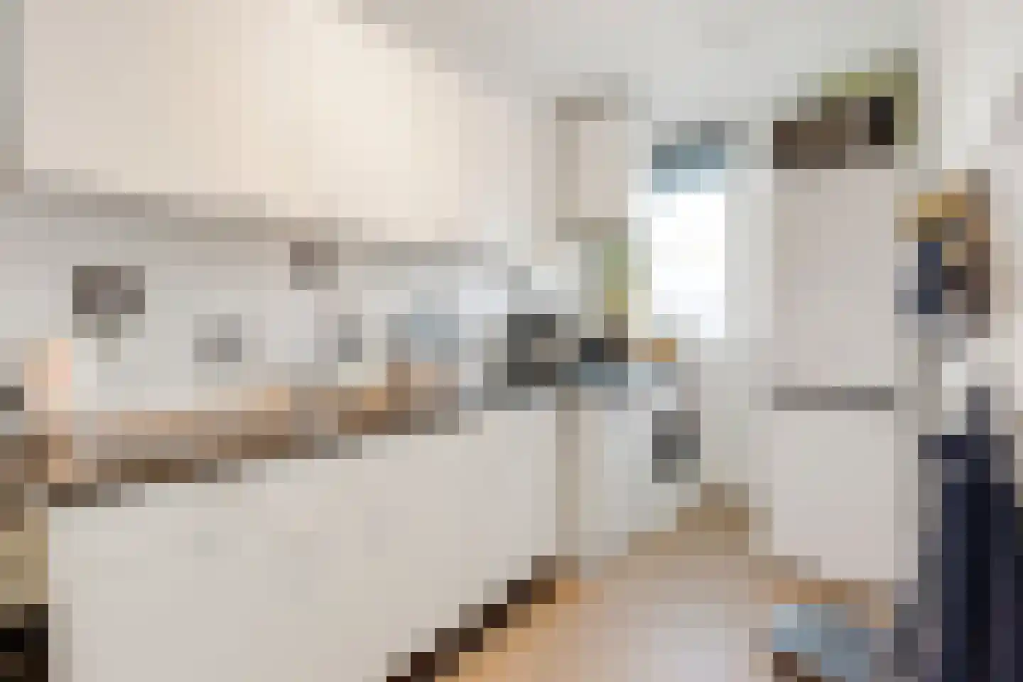 Dorotheagaarde 44 Bussum thumbnail 14