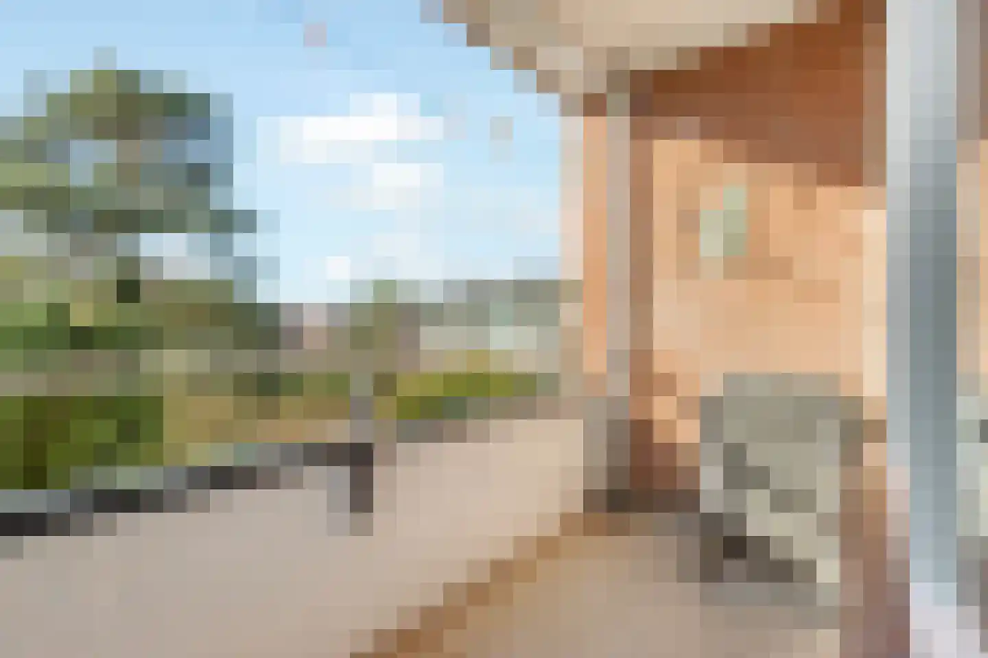 Dorotheagaarde 44 Bussum thumbnail 20