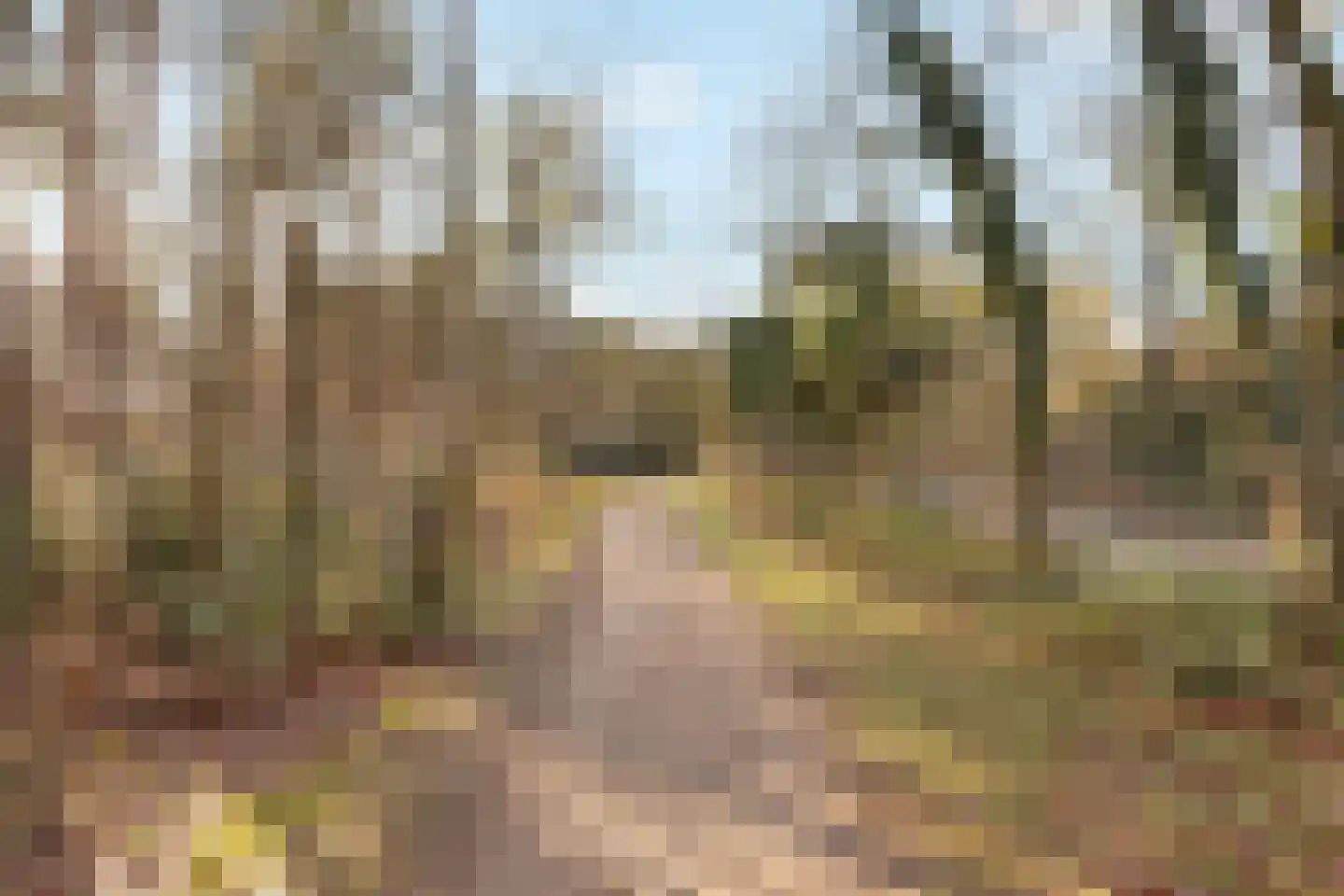 Dorotheagaarde 44 Bussum thumbnail 22