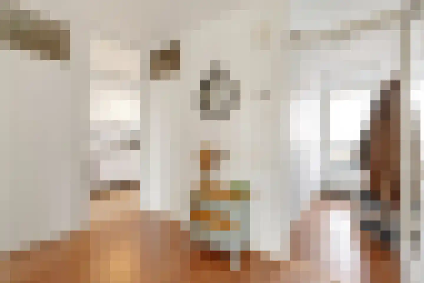 Dorotheagaarde 44 Bussum thumbnail 6