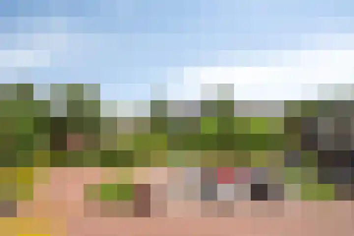Dorotheagaarde 56 Bussum thumbnail 12