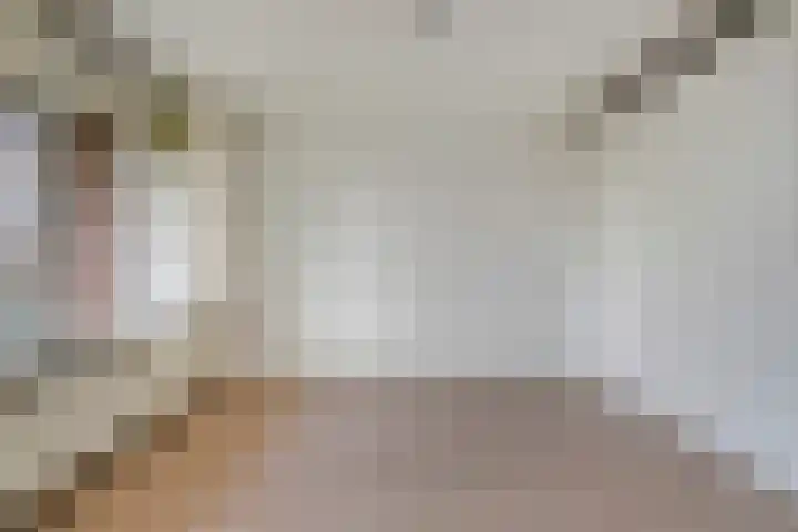 Dorotheagaarde 56 Bussum thumbnail 18