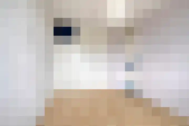 Dorotheagaarde 56 Bussum thumbnail 32