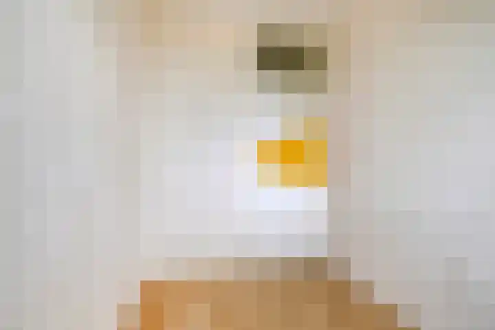 Dorotheagaarde 56 Bussum thumbnail 34