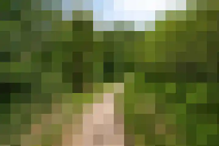 Dorotheagaarde 56 Bussum thumbnail 36