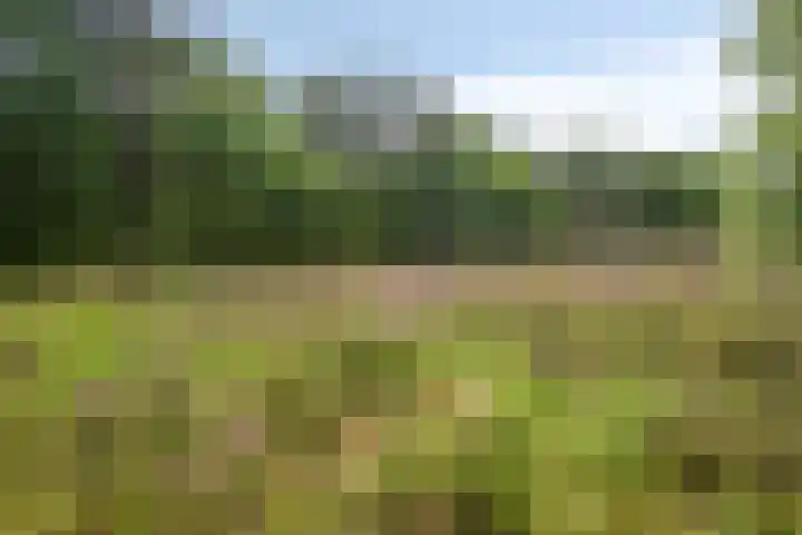 Dorotheagaarde 56 Bussum thumbnail 38
