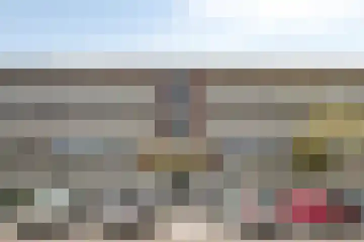 Dorotheagaarde 56 Bussum thumbnail 41