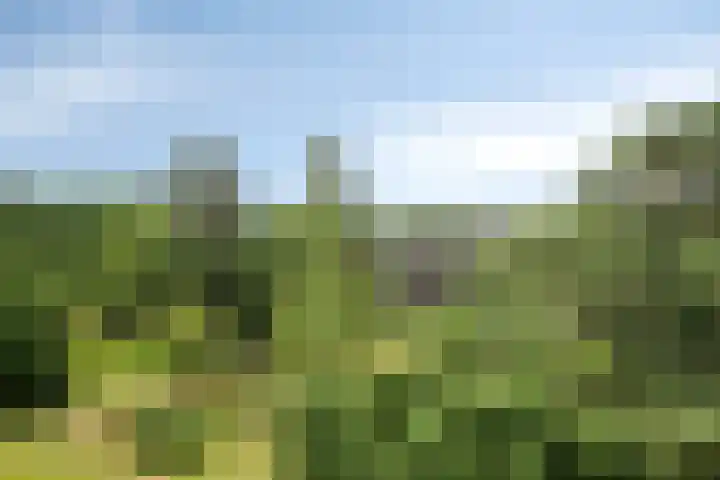 Dorotheagaarde 56 Bussum thumbnail 5