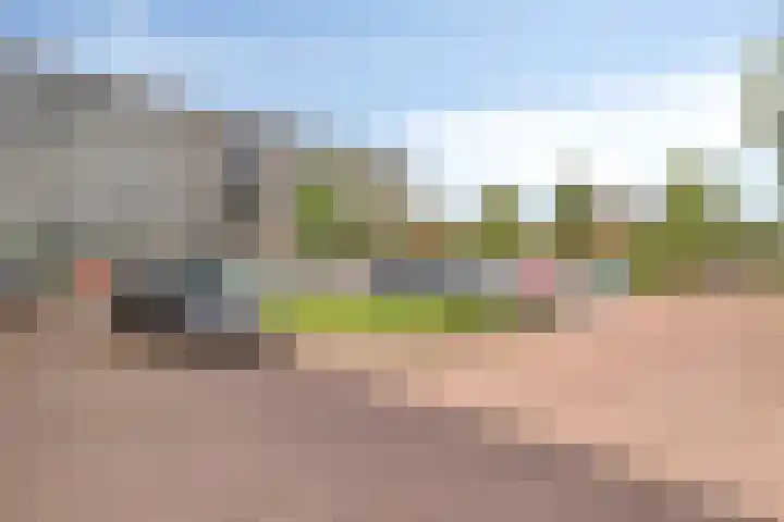 Dorotheagaarde 56 Bussum thumbnail 7