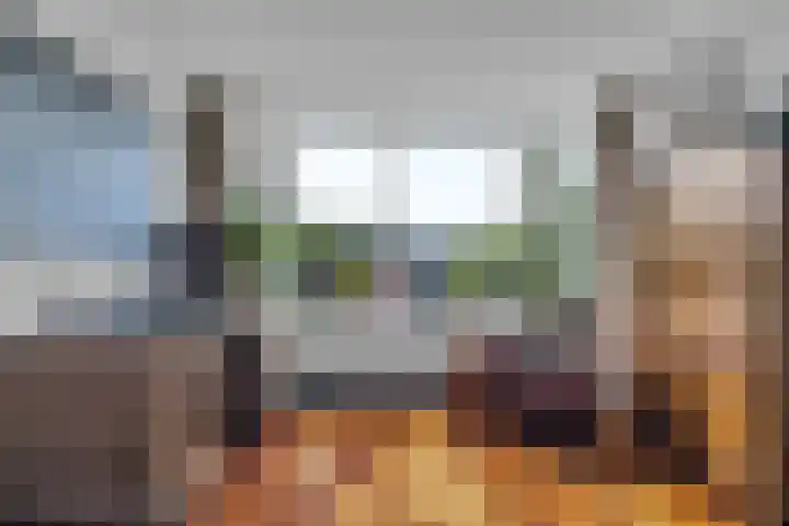 Dorotheagaarde 60 Bussum thumbnail 11