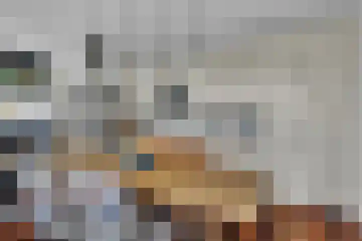 Dorotheagaarde 60 Bussum thumbnail 14