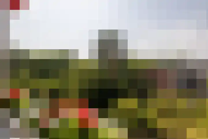 Dorotheagaarde 60 Bussum thumbnail 15