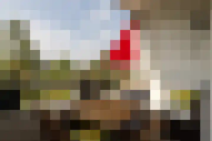 Dorotheagaarde 60 Bussum thumbnail 16