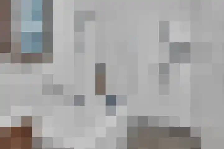 Dorotheagaarde 60 Bussum thumbnail 21