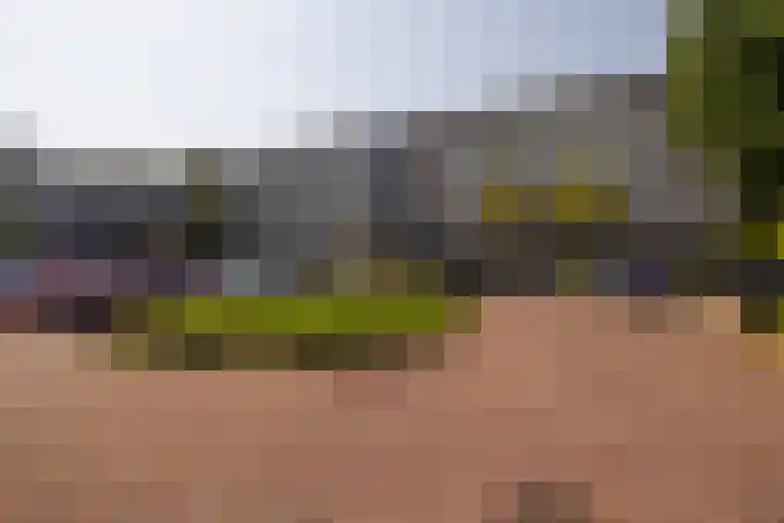 Dorotheagaarde 60 Bussum thumbnail 23