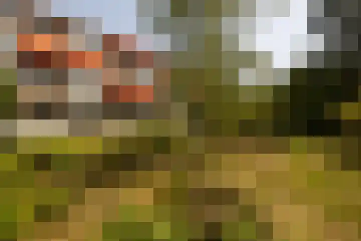 Dorotheagaarde 60 Bussum thumbnail 26