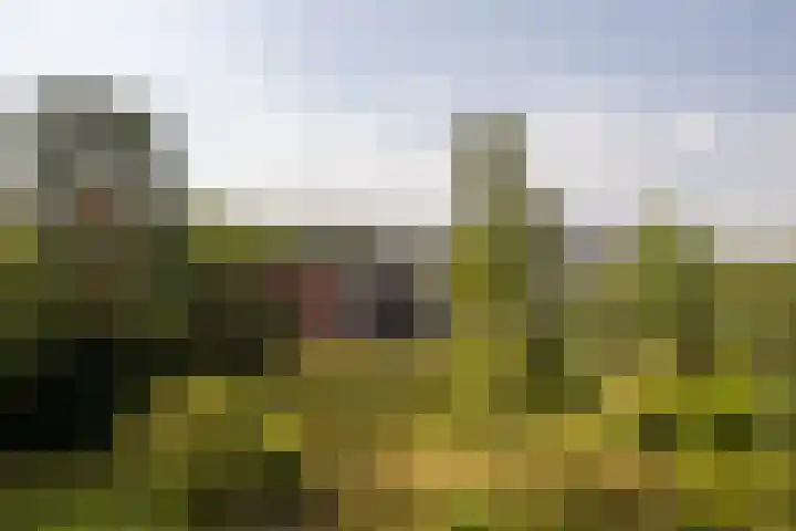 Dorotheagaarde 60 Bussum thumbnail 27