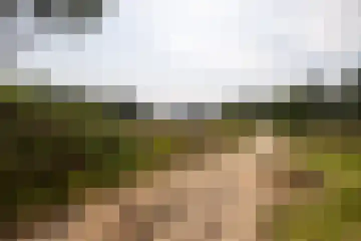 Dorotheagaarde 60 Bussum thumbnail 28