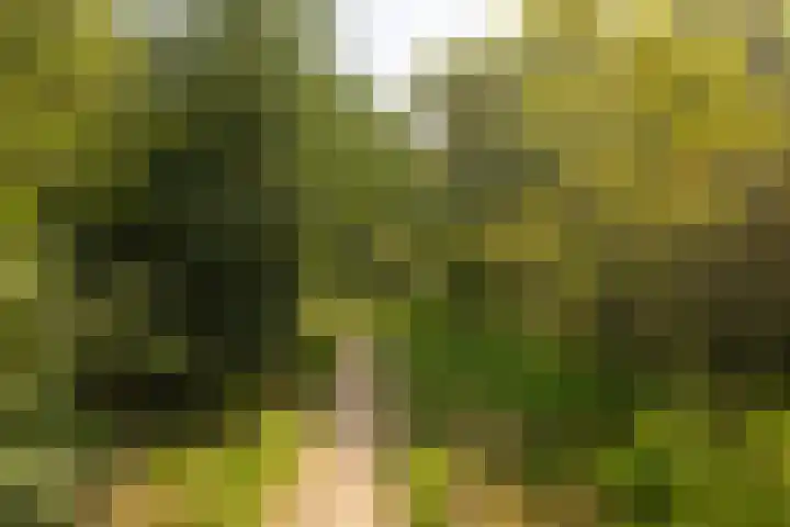 Dorotheagaarde 60 Bussum thumbnail 29