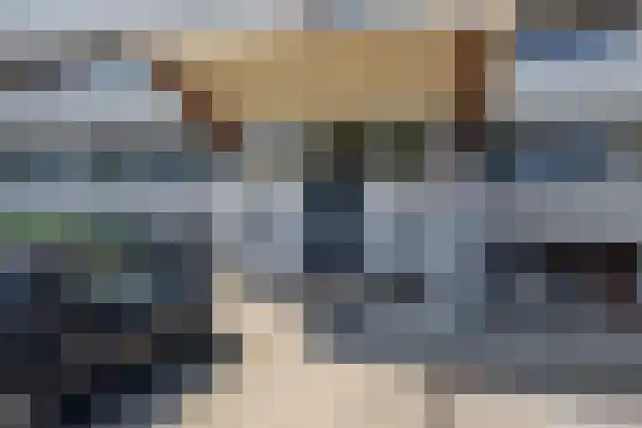 Dorotheagaarde 60 Bussum thumbnail 4