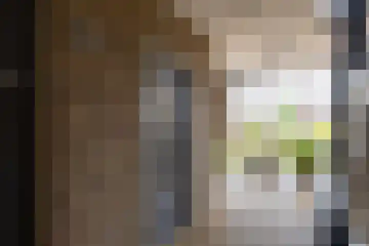 Dorotheagaarde 60 Bussum thumbnail 5