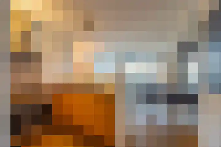Dorotheagaarde 70 Bussum thumbnail 12