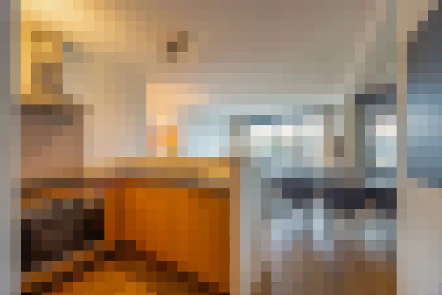 Dorotheagaarde 70 Bussum thumbnail 12