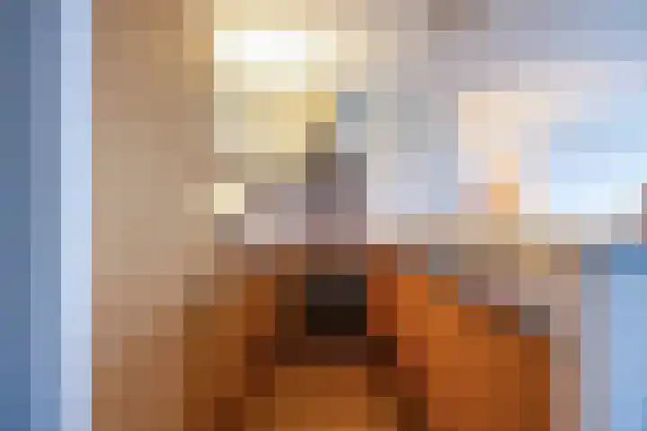 Dorotheagaarde 70 Bussum thumbnail 13