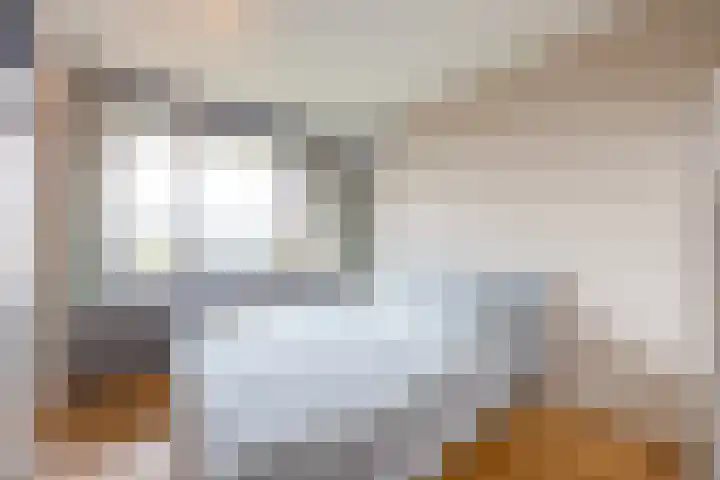 Dorotheagaarde 70 Bussum thumbnail 15