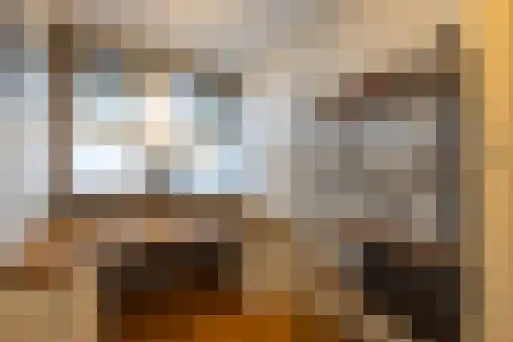 Dorotheagaarde 70 Bussum thumbnail 18
