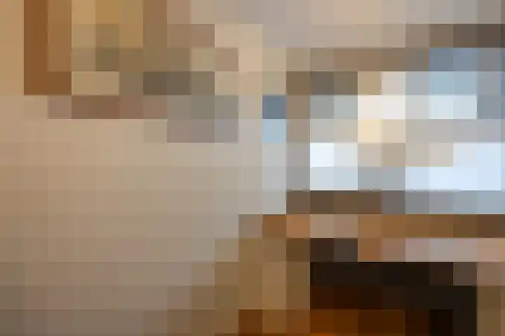 Dorotheagaarde 70 Bussum thumbnail 19