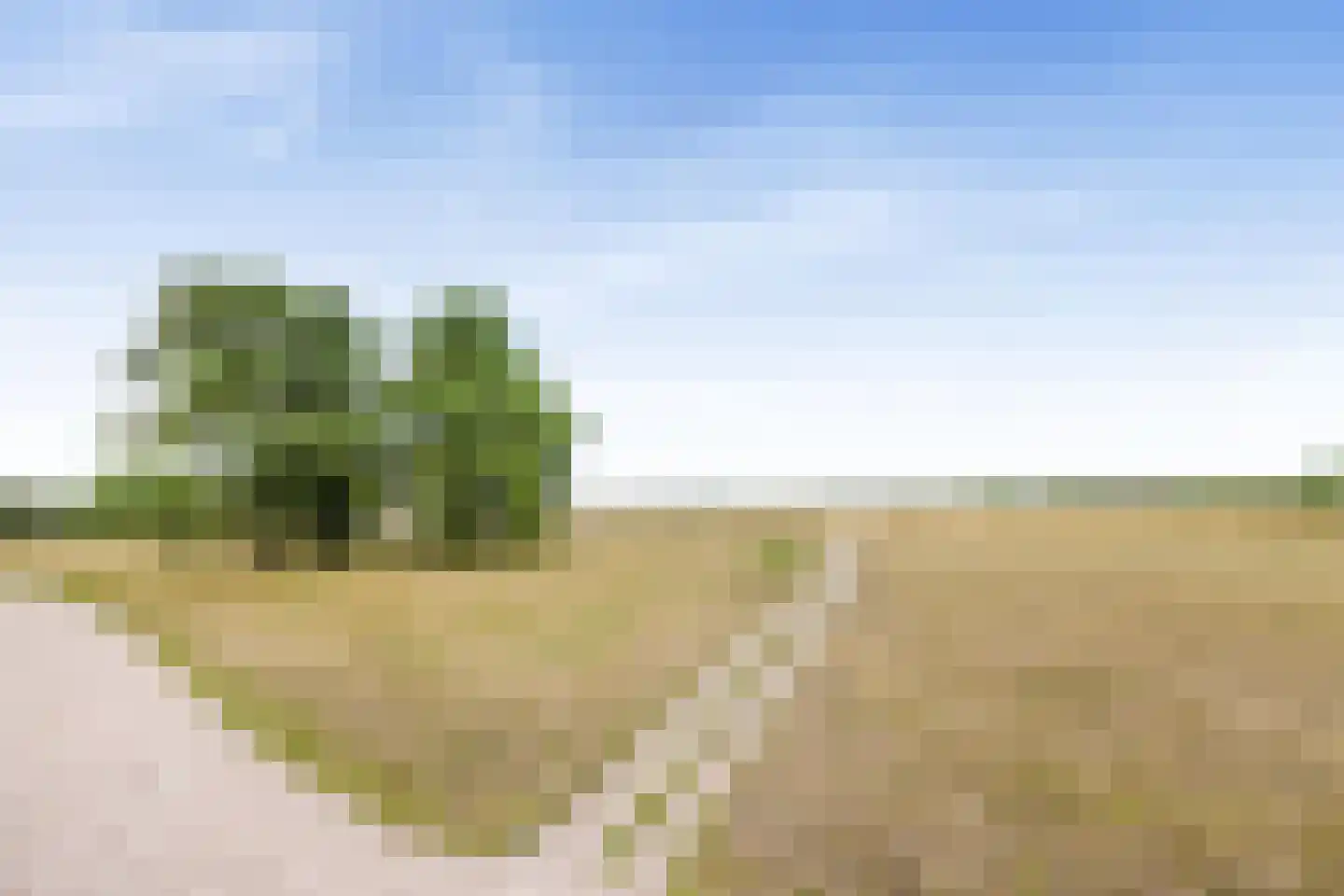 Dorotheagaarde 70 Bussum thumbnail 25