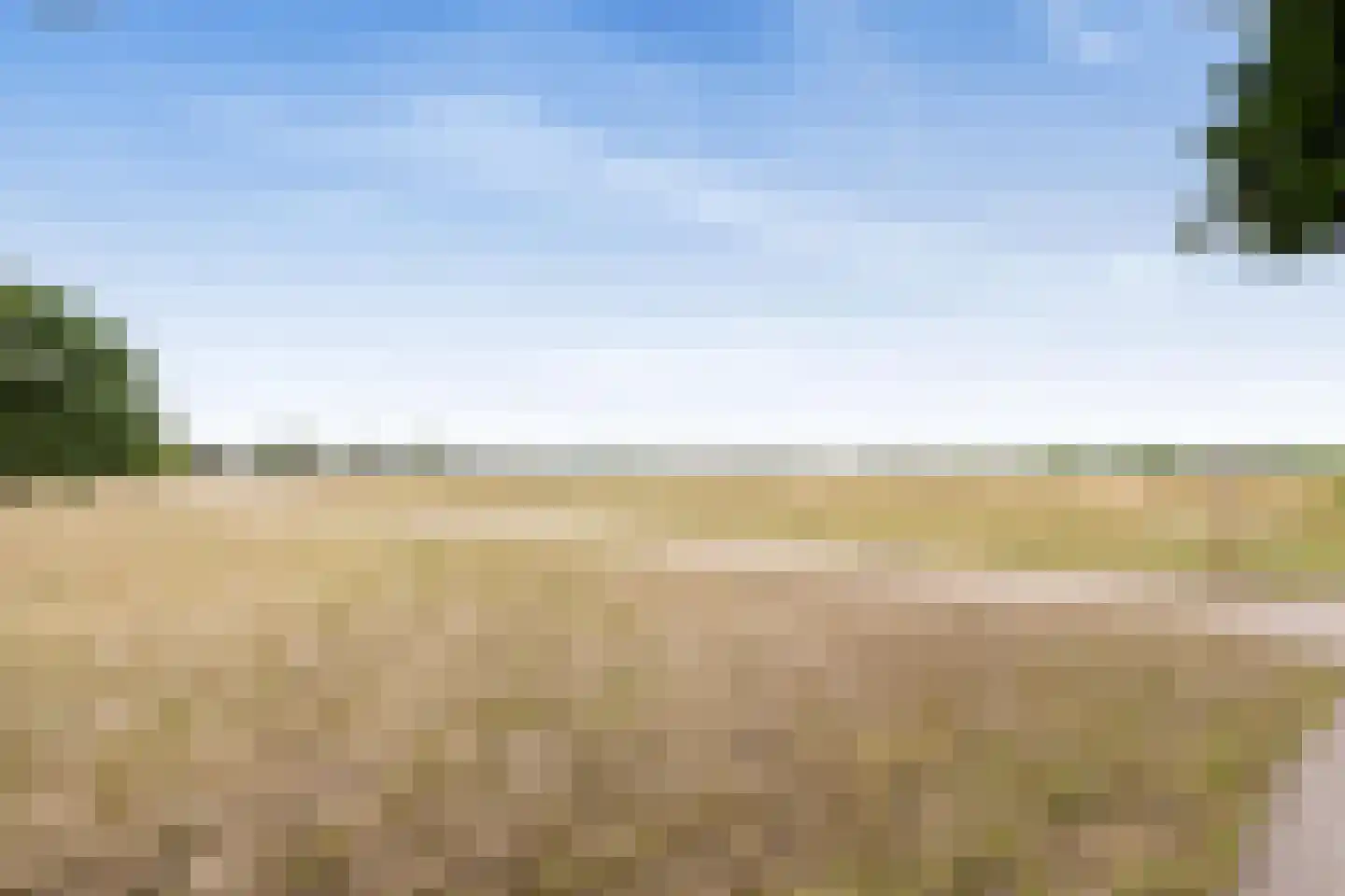 Dorotheagaarde 70 Bussum thumbnail 27