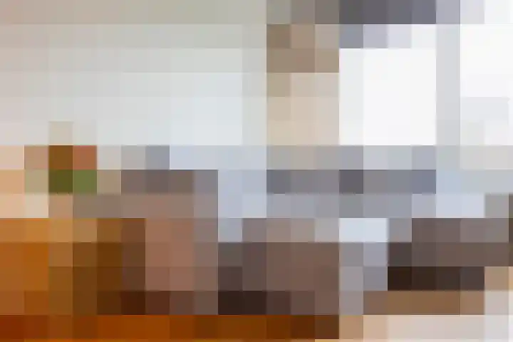 Dorotheagaarde 70 Bussum thumbnail 8