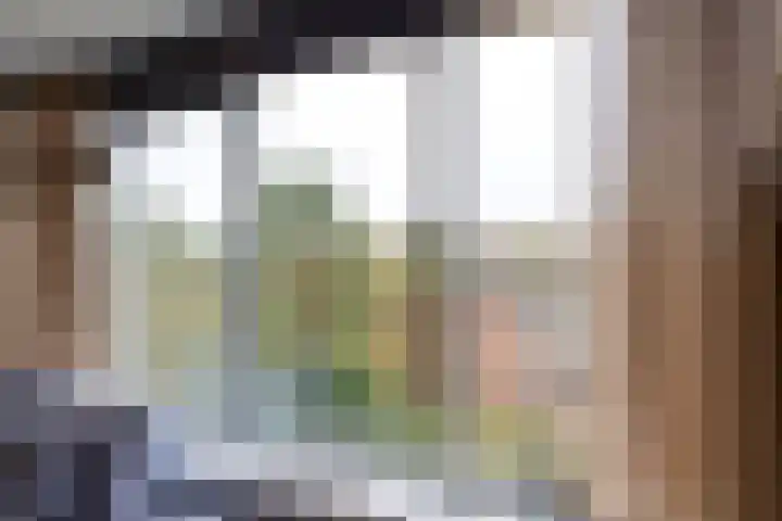 Dorotheagaarde 70 Bussum thumbnail 9