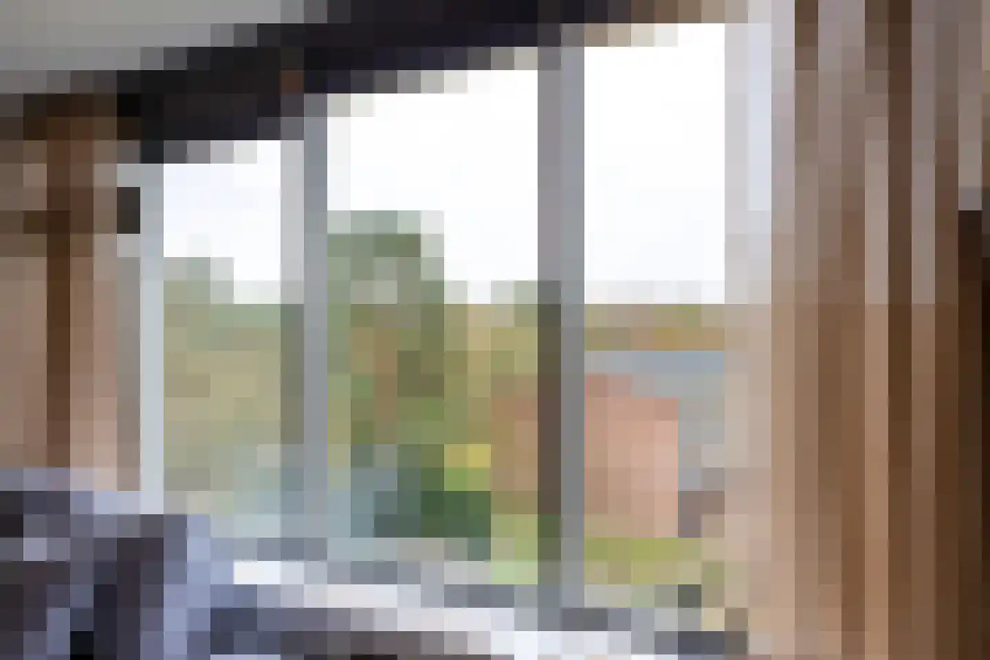 Dorotheagaarde 70 Bussum thumbnail 9