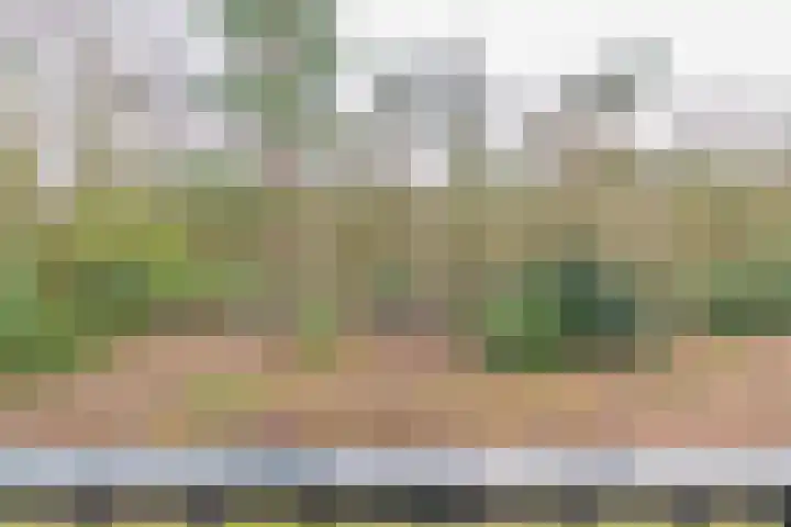 Dorotheagaarde 78 Bussum thumbnail 10