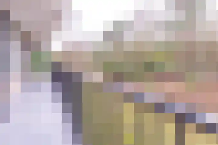 Dorotheagaarde 78 Bussum thumbnail 11